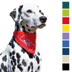 Halsdoekje, Borduursel Botmotief + Naam