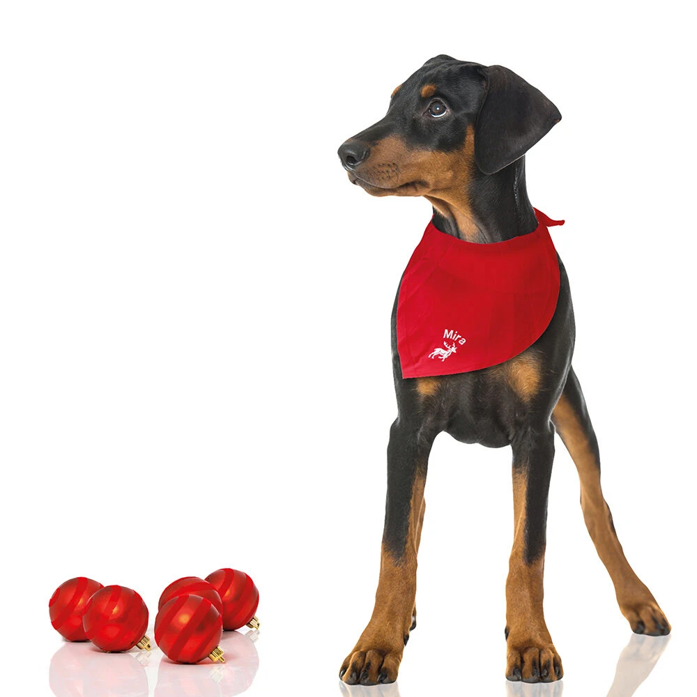 Halsdoekje, Borduursel Rendier + Naam