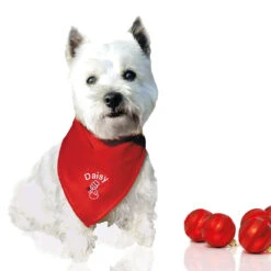 Halsdoekje, Borduursel Sneeuwpop + Naam