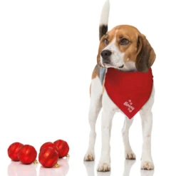 Halsdoekje, Borduursel Sneeuwvlokken + Naam