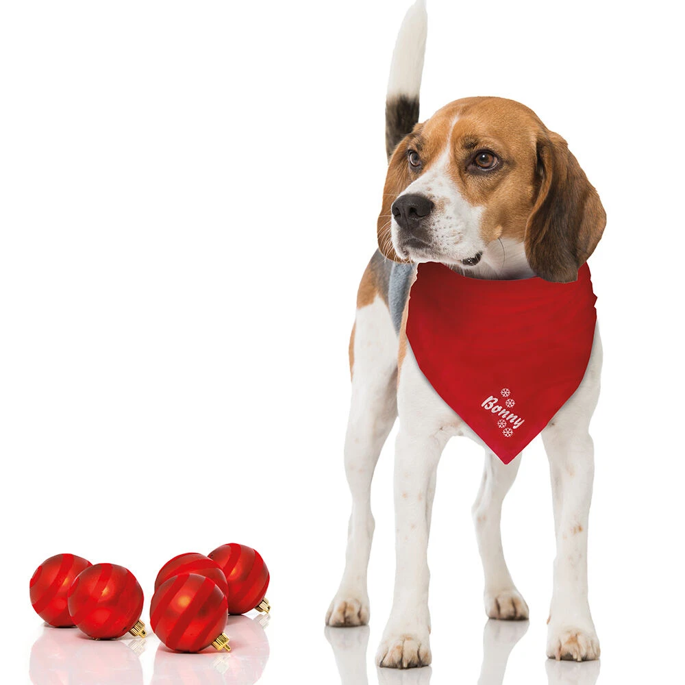 Halsdoekje, Borduursel Sneeuwvlokken + Naam