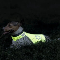 Honden-veiligheidsvest Night Walk