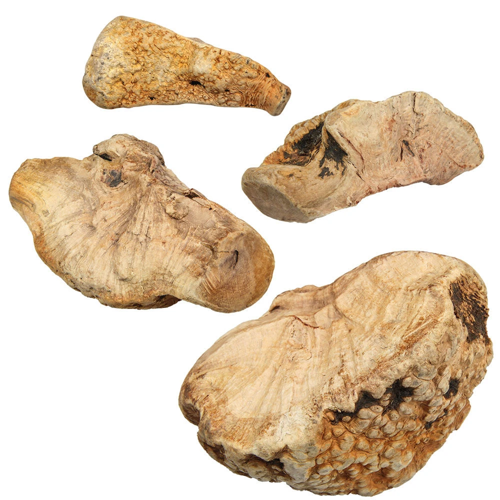 Kauwwortel - Het Duurzame Speeltje