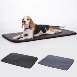 Ligmat Voor Honden 'Lomond'