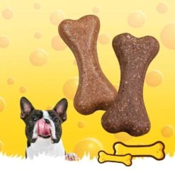 PLUTOS® Kaaskauwbotten - Junior Chicken & Qrill + Senior Chicken & Qrill -