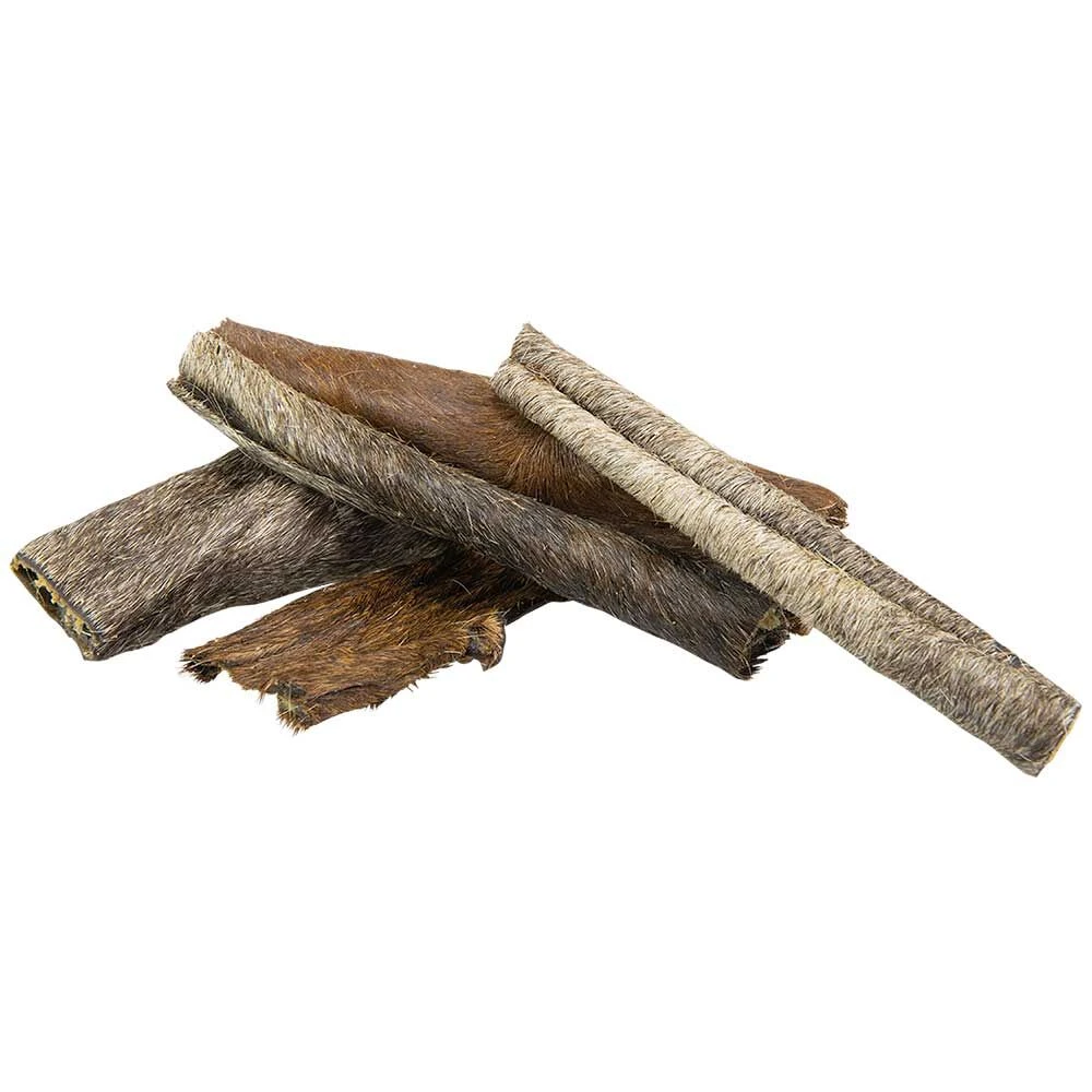 Paardenhuid Met Vacht