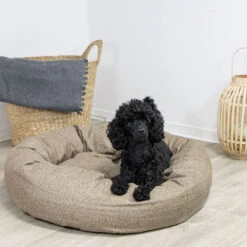 Schecker Hondenbed Bensersiel