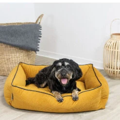 Schecker Hondenbed Harlesiel