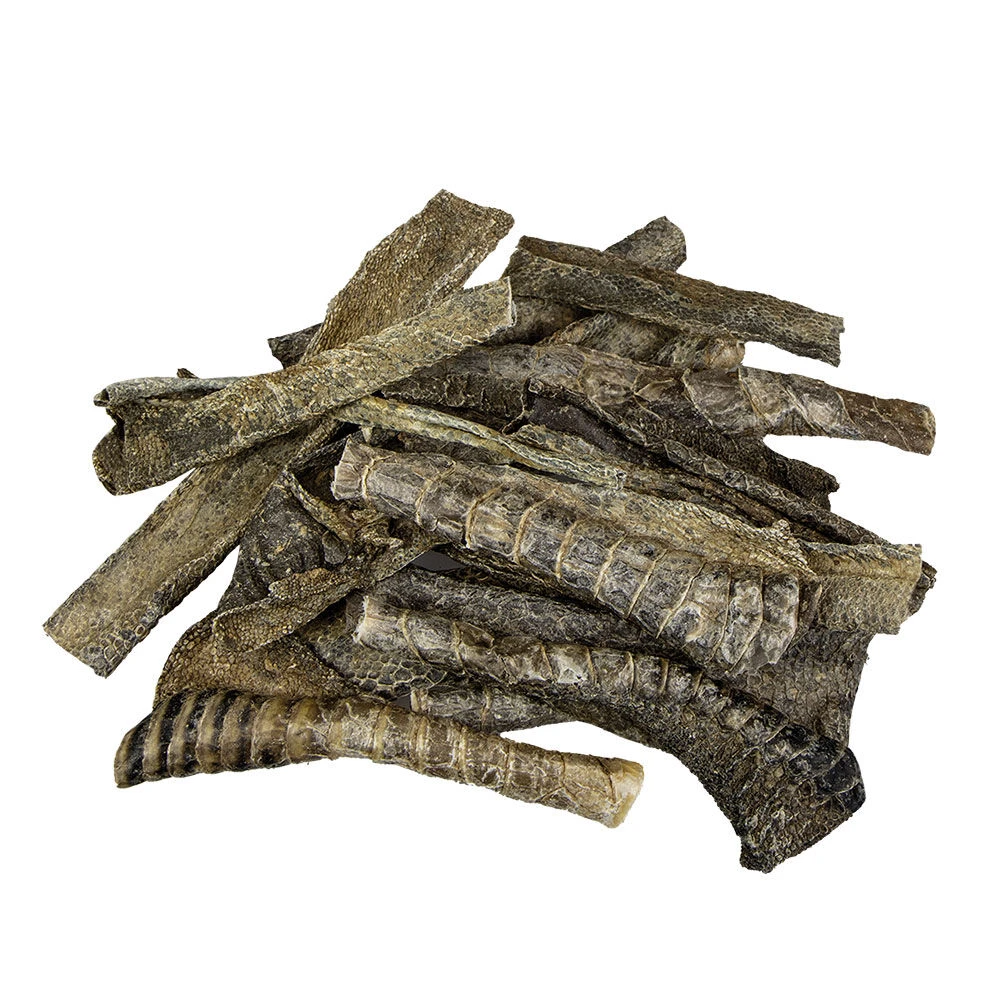 Schecker Struisvogelhuid