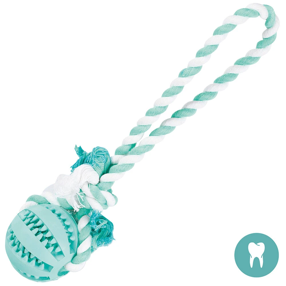 Tandverzorgingsbal Met Touw