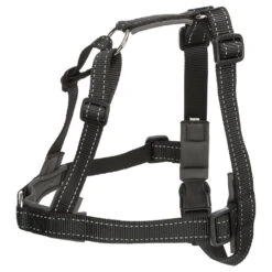 Trainingsharnas Om Te Lopen